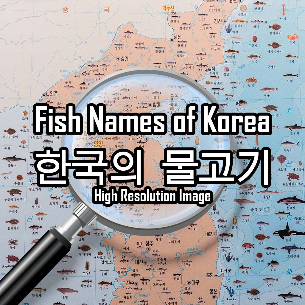 Fish Names of Korea 한국의 물고기